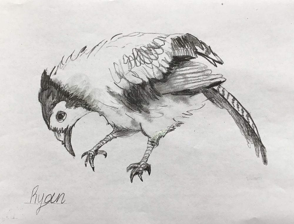 Bird Going to Eat