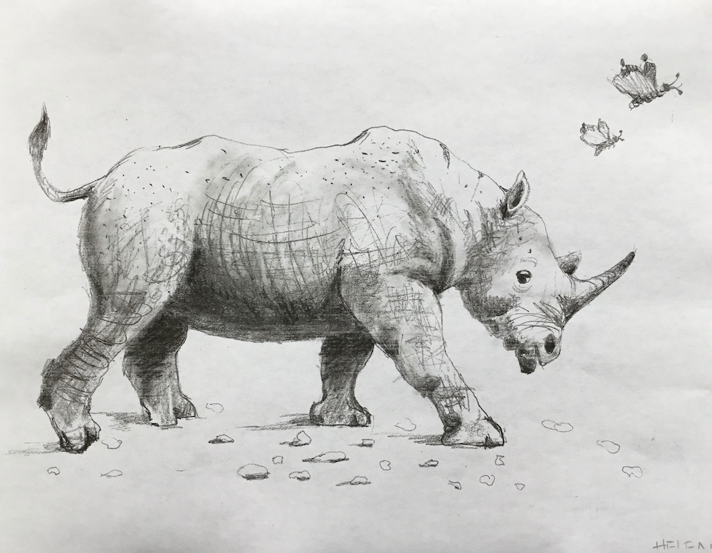 Rhinoceros