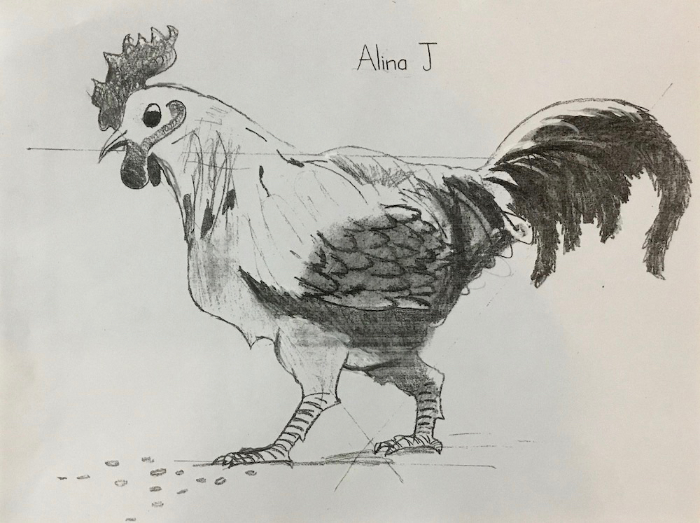 Rooster