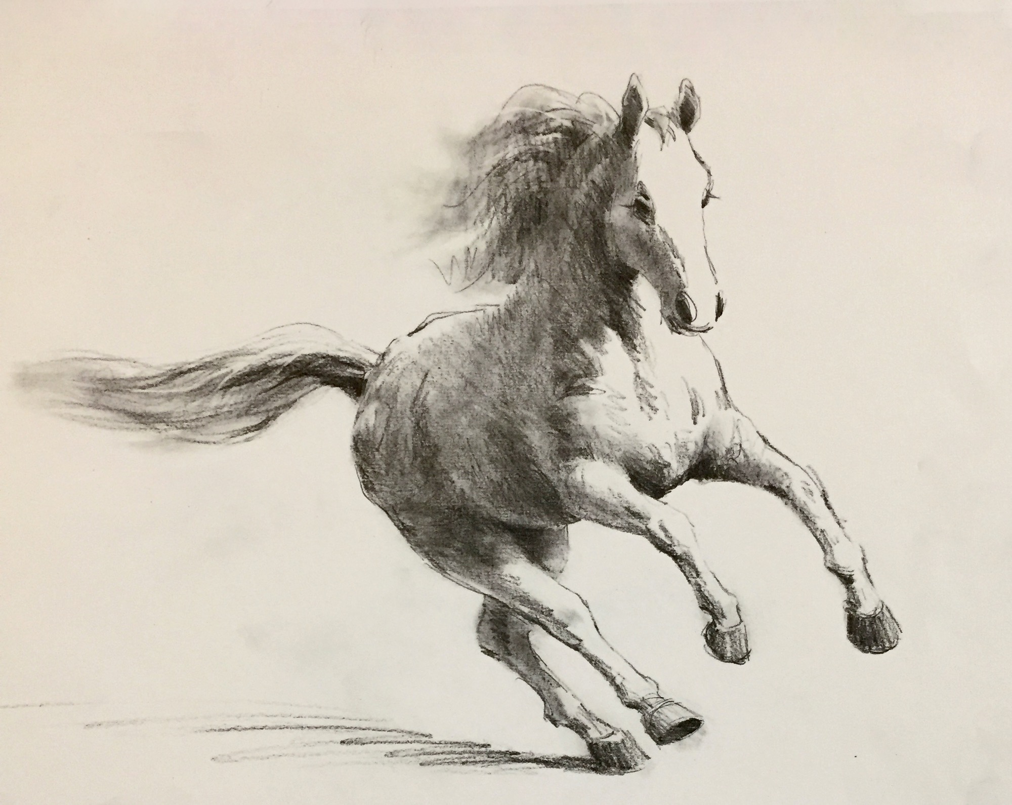 Running Horse
